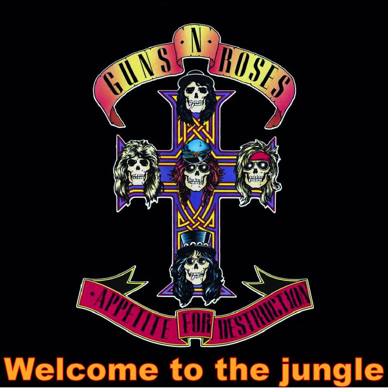 Welcome to the jungle